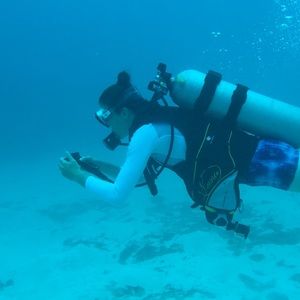 Meet your Posher, Arianna